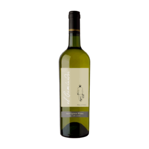 Half Bottle, El Caminador, Sauvignon Blanc, Central Valley