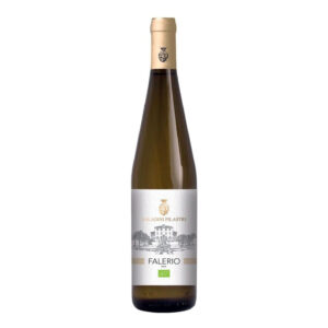 Saladini Pilastri Falerio DOC 2024, Marche, Organic